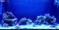 [TodoMarino.com] Vuestros aquascaping