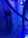 [TodoMarino.com] VENDO PROFILUX II