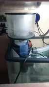 [TodoMarino.com] Bombas para Skimmer deltec apf600