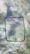 [TodoMarino.com] Roca viva y agua marron