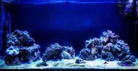 [TodoMarino.com] Nano Reef 96 Litros