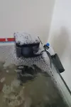 [TodoMarino.com] Roca viva y agua marron