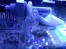 [TodoMarino.com] Mi Nano-Reef de 32L con refugio