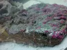 [TodoMarino.com] Empezando en el marino