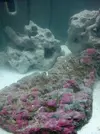 [TodoMarino.com] Empezando en el marino