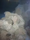 [TodoMarino.com] Empezando en el marino