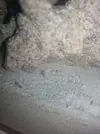 [TodoMarino.com] Empezando en el marino