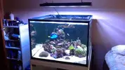 [TodoMarino.com] Sondeo venta pantalla vertex illumina 360