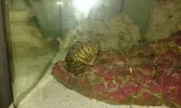 [TodoMarino.com] Empezando en el marino