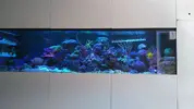 [TodoMarino.com] Vendo eskejes envio