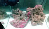 [TodoMarino.com] Empezando en el marino