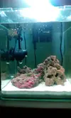 [TodoMarino.com] Empezando en el marino
