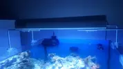 [TodoMarino.com] Pantalla Blau Lumina led 36