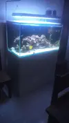 [TodoMarino.com] vendo acuario sirroco 270 conpleto