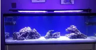 [TodoMarino.com] Azulón Reef 375 litros
