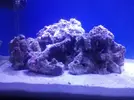 [TodoMarino.com] Azulón Reef 375 litros