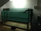[TodoMarino.com] Ami's Cave