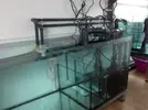 [TodoMarino.com] Ami's Cave