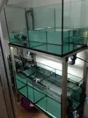 [TodoMarino.com] Ami's Cave
