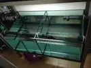 [TodoMarino.com] Ami's Cave