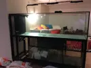 [TodoMarino.com] Ami's Cave