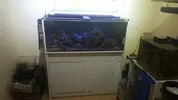 [TodoMarino.com] Acuario sirocco 250litros