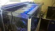 [TodoMarino.com] Acuario sirocco 250litros