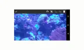 [TodoMarino.com] Roca viva envio