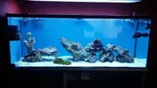 [TodoMarino.com] VENDO URNA 130X40X50