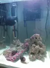 [TodoMarino.com] Empezando en el marino