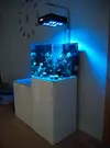 [TodoMarino.com] Desmonte acuario