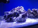 [TodoMarino.com] Azulón Reef 375 litros