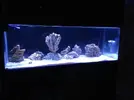 [TodoMarino.com] Ami's Cave