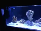 [TodoMarino.com] Ami's Cave
