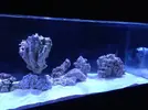 [TodoMarino.com] Ami's Cave