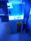 [TodoMarino.com] Acuario,mesa,sump y pantalla - Castellon