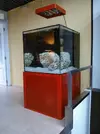[TodoMarino.com] CUBO RED 400litros /MADRID - MADRID/ VENDIDO