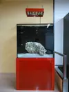 [TodoMarino.com] CUBO RED 400litros /MADRID - MADRID/ VENDIDO