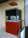 [TodoMarino.com] CUBO RED 400litros /MADRID - MADRID/ VENDIDO