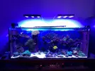[TodoMarino.com] Vendo pantallas GHL mitrax lx 6200  hv,  lx 6100 hv  y Skimmer Aquamedic acone 1.5 - Sevilla