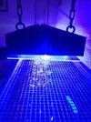[TodoMarino.com] Vendo Pantalla de 96 Leds (300w) (Madrid) - Madrid, Fuenlabrada