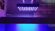 [TodoMarino.com] Empezando 200 l