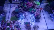 [TodoMarino.com] vendo eskejes baratos 5,10,15 euros - pontevedra,galicia