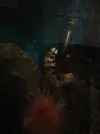 [TodoMarino.com] HELP!!!! AYUDA CON EL ACUARIO DE MI HERMANO EN LA UCI
