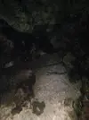 [TodoMarino.com] HELP!!!! AYUDA CON EL ACUARIO DE MI HERMANO EN LA UCI