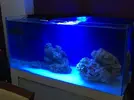 [TodoMarino.com] STONE Reef
