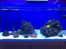 [TodoMarino.com] STONE Reef