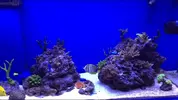 [TodoMarino.com] STONE Reef