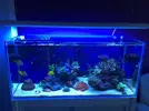 [TodoMarino.com] STONE Reef