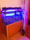[TodoMarino.com] Vendo acuario completo - Valencia